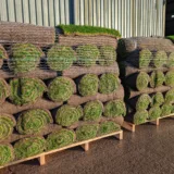 PXL_20251113_084517213.RAW-01.COVER