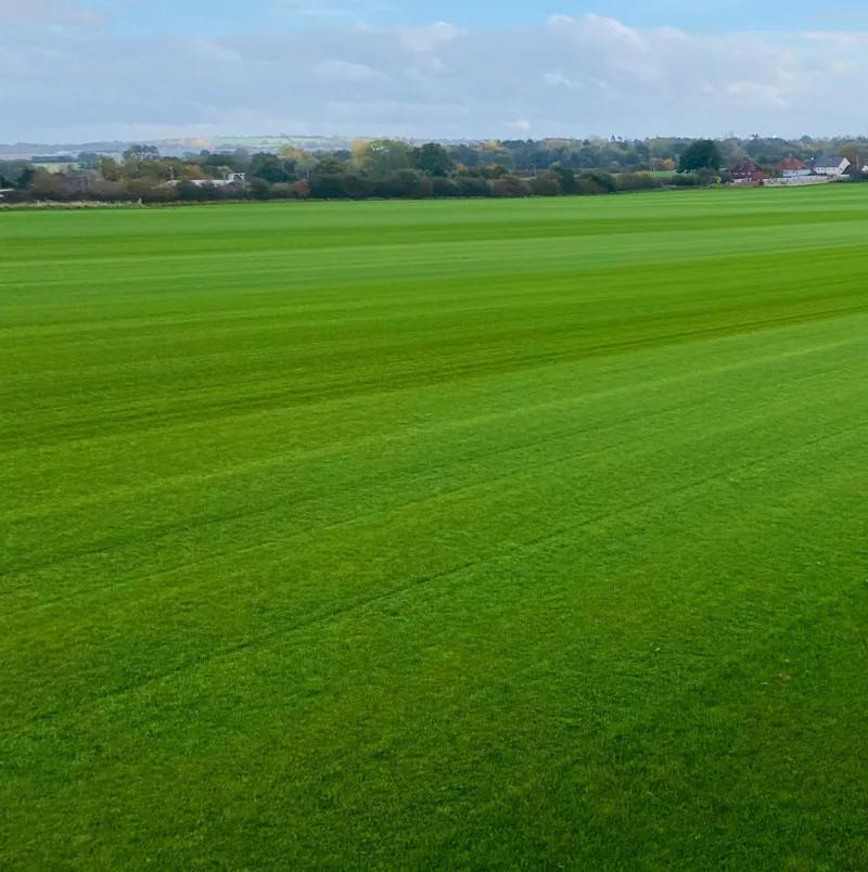 turf-turfworld-turf-roll-buy-turf-field