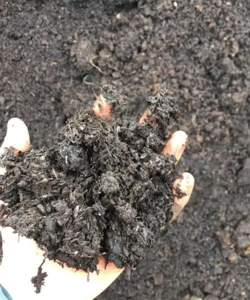 Shredded Farmyard Manure